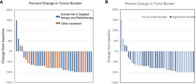 Intracranial management of HER-2 overexpression breast cancer with extensive volume or symptomatic brain metastases